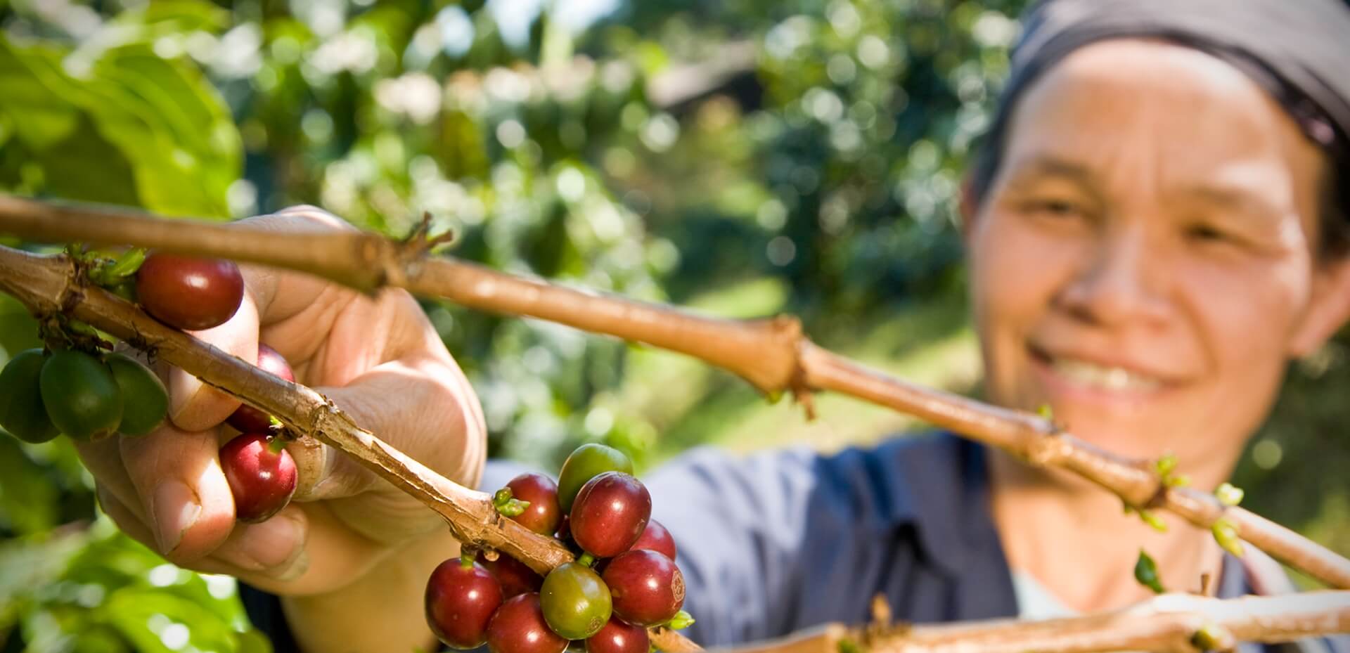 Melitta® Bacio Nero®